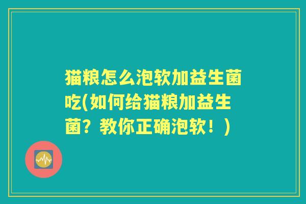 猫粮怎么泡软加益生菌吃(如何给猫粮加益生菌？教你正确泡软！)