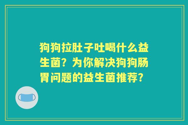 狗狗拉肚子吐喝什么益生菌？为你解决狗狗肠胃问题的益生菌推荐？