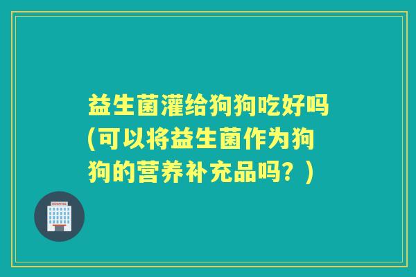 益生菌灌给狗狗吃好吗(可以将益生菌作为狗狗的营养补充品吗？)