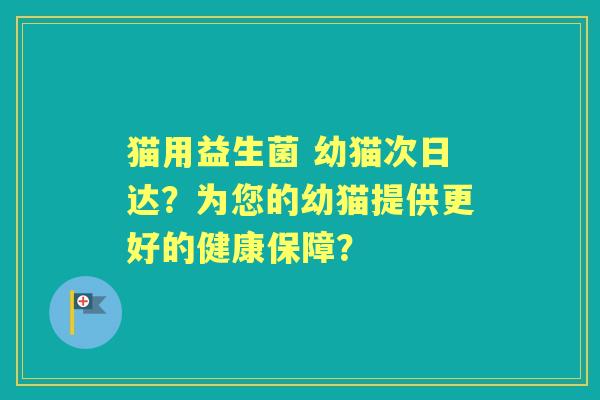 猫用益生菌 幼猫次日达？为您的幼猫提供更好的健康保障？