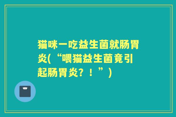 猫咪一吃益生菌就肠(“喂猫益生菌竟引起肠？！”)