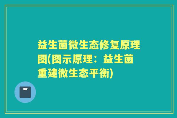 益生菌微生态修复原理图(图示原理：益生菌重建微生态平衡)