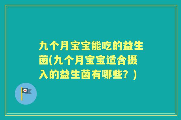 九个月宝宝能吃的益生菌(九个月宝宝适合摄入的益生菌有哪些？)