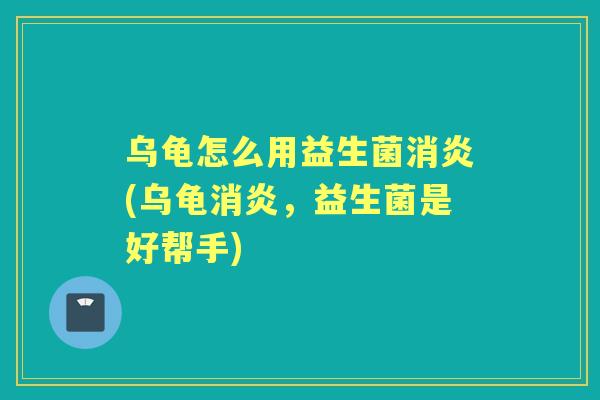 乌龟怎么用益生菌(乌龟，益生菌是好帮手)