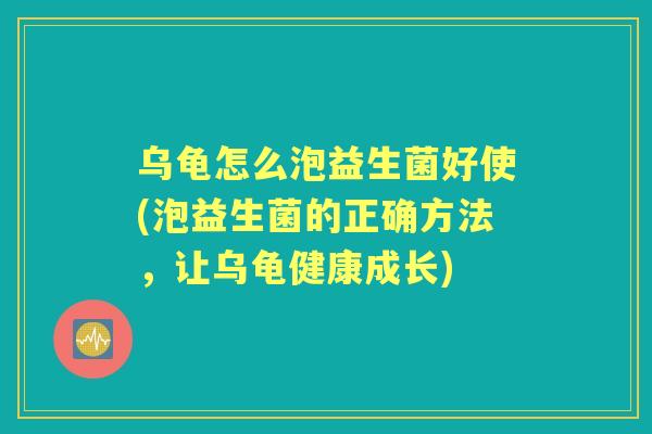 乌龟怎么泡益生菌好使(泡益生菌的正确方法，让乌龟健康成长)