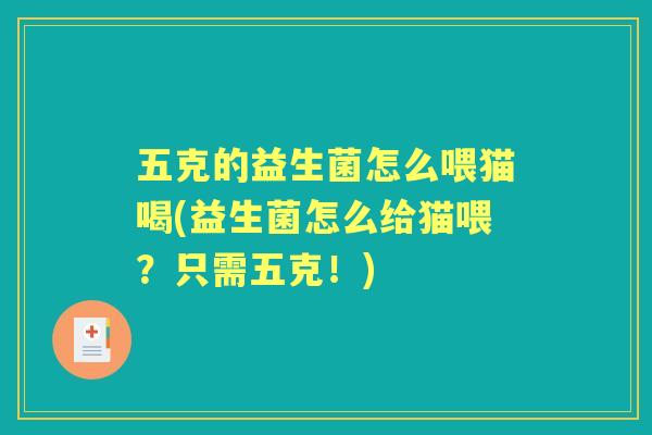 五克的益生菌怎么喂猫喝(益生菌怎么给猫喂？只需五克！)