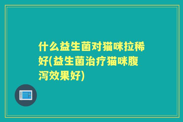 什么益生菌对猫咪拉稀好(益生菌猫咪效果好)