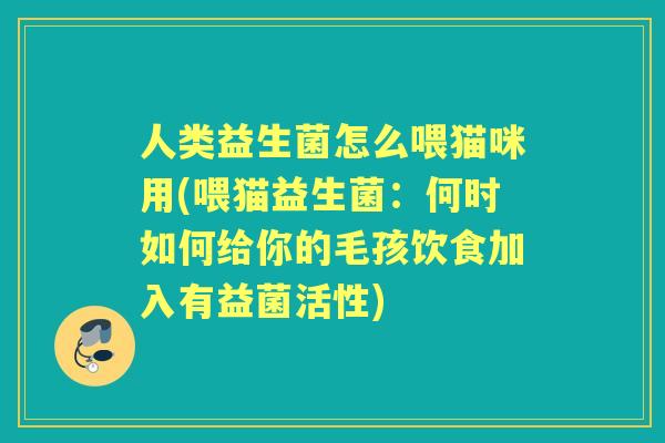 人类益生菌怎么喂猫咪用(喂猫益生菌：何时如何给你的毛孩饮食加入有益菌活性)