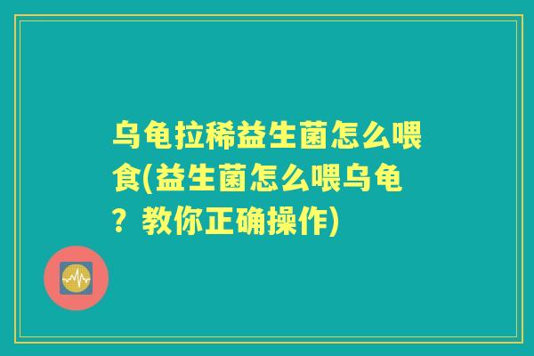 乌龟拉稀益生菌怎么喂食(益生菌怎么喂乌龟？教你正确操作)