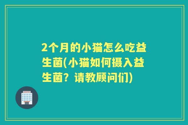 2个月的小猫怎么吃益生菌(小猫如何摄入益生菌？请教顾问们)