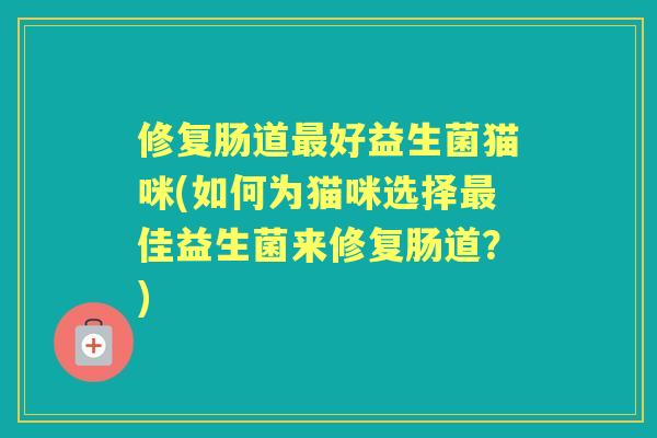 修复肠道好益生菌猫咪(如何为猫咪选择佳益生菌来修复肠道？)