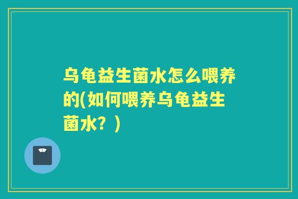 乌龟益生菌水怎么喂养的(如何喂养乌龟益生菌水？)