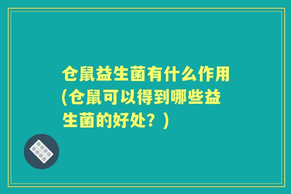仓鼠益生菌有什么作用(仓鼠可以得到哪些益生菌的好处？)