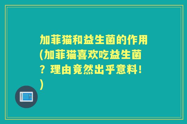 加菲猫和益生菌的作用(加菲猫喜欢吃益生菌？理由竟然出乎意料！)