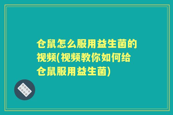 仓鼠怎么服用益生菌的视频(视频教你如何给仓鼠服用益生菌)