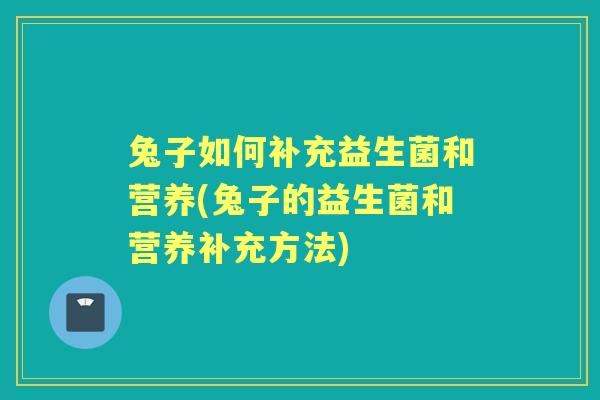 兔子如何补充益生菌和营养(兔子的益生菌和营养补充方法) 兔子如何补充益生菌和营养(兔子的益生菌和营养补充方法)