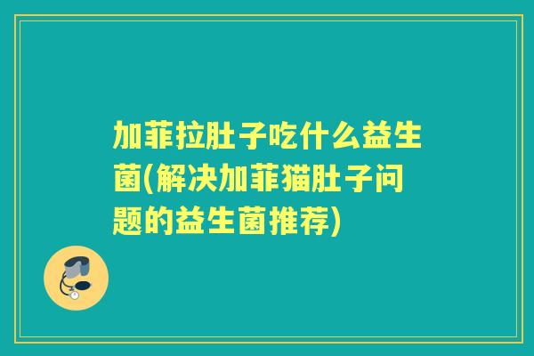加菲拉肚子吃什么益生菌(解决加菲猫肚子问题的益生菌推荐)