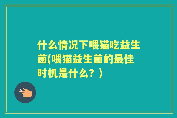 什么情况下喂猫吃益生菌(喂猫益生菌的佳时机是什么？)