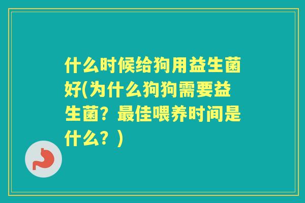 什么时候给狗用益生菌好(为什么狗狗需要益生菌？佳喂养时间是什么？)
