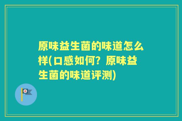 原味益生菌的味道怎么样(口感如何？原味益生菌的味道评测)