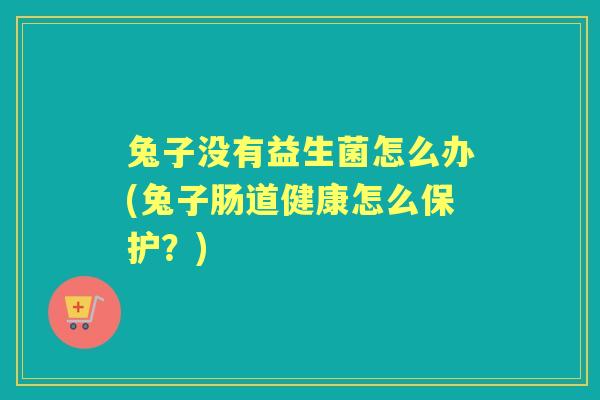 兔子没有益生菌怎么办(兔子肠道健康怎么保护?) 兔子没有益生菌怎么办(兔子肠道健康怎么保护?)