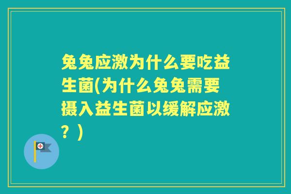兔兔应激为什么要吃益生菌(为什么兔兔需要摄入益生菌以缓解应激？)