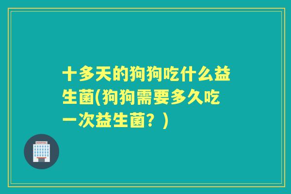 十多天的狗狗吃什么益生菌(狗狗需要多久吃一次益生菌?) 十多天的狗狗吃什么益生菌(狗狗需要多久吃一次益生菌?)