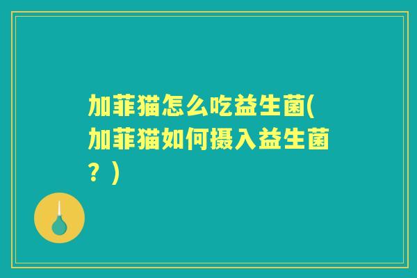 加菲猫怎么吃益生菌(加菲猫如何摄入益生菌?) 加菲猫怎么吃益生菌(加菲猫如何摄入益生菌?)