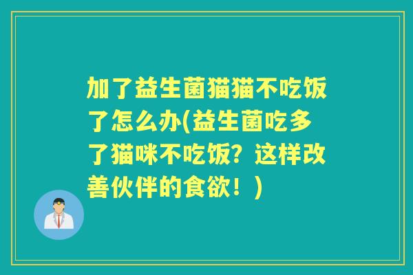 加了益生菌猫猫不吃饭了怎么办(益生菌吃多了猫咪不吃饭?这样改善伙伴的!) 加了益生菌猫猫不吃饭了怎么办(益生菌吃多了猫咪不吃饭?这样改善伙伴的!)