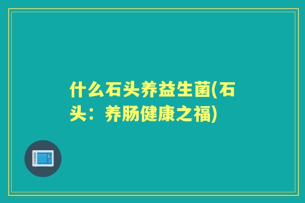 什么石头养益生菌(石头：养肠健康之福)