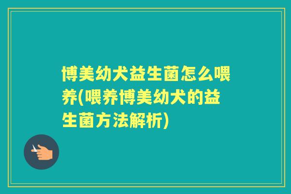 博美幼犬益生菌怎么喂养(喂养博美幼犬的益生菌方法解析)