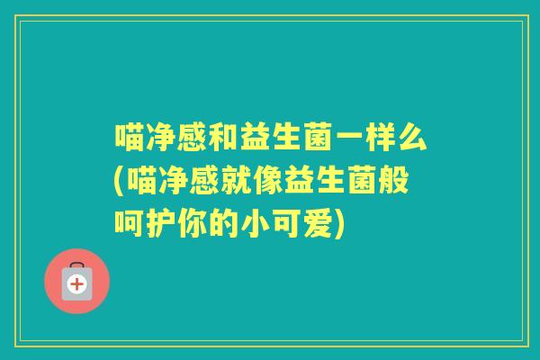 喵净感和益生菌一样么(喵净感就像益生菌般呵护你的小可爱)