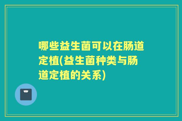 哪些益生菌可以在肠道定植(益生菌种类与肠道定植的关系)