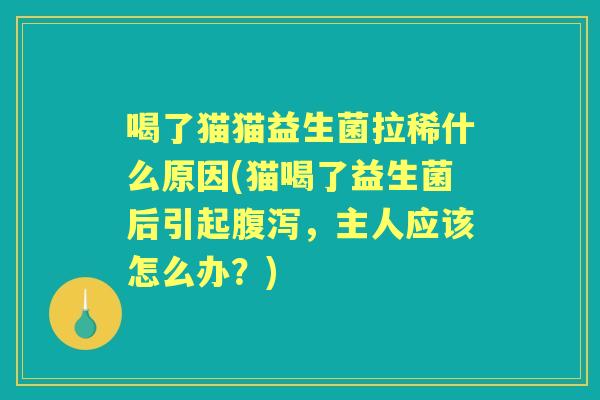 喝了猫猫益生菌拉稀什么原因(猫喝了益生菌后引起，主人应该怎么办？)