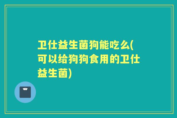卫仕益生菌狗能吃么(可以给狗狗食用的卫仕益生菌)