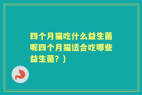 四个月猫吃什么益生菌呢四个月猫适合吃哪些益生菌?) 四个月猫吃什么益生菌呢四个月猫适合吃哪些益生菌?)