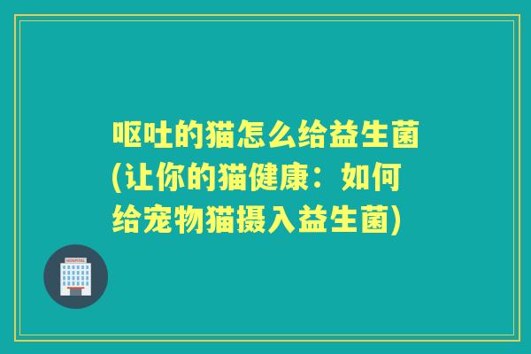 的猫怎么给益生菌(让你的猫健康：如何给宠物猫摄入益生菌)
