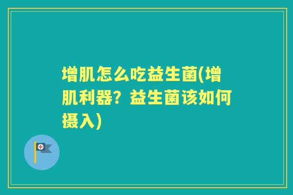 增肌怎么吃益生菌(增肌利器？益生菌该如何摄入)