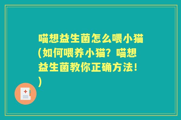 喵想益生菌怎么喂小猫(如何喂养小猫？喵想益生菌教你正确方法！)