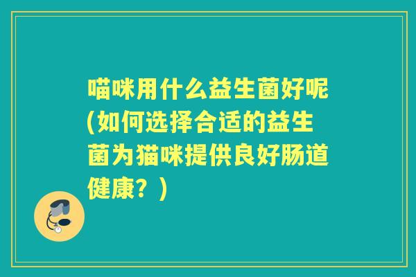 喵咪用什么益生菌好呢(如何选择合适的益生菌为猫咪提供良好肠道健康？)