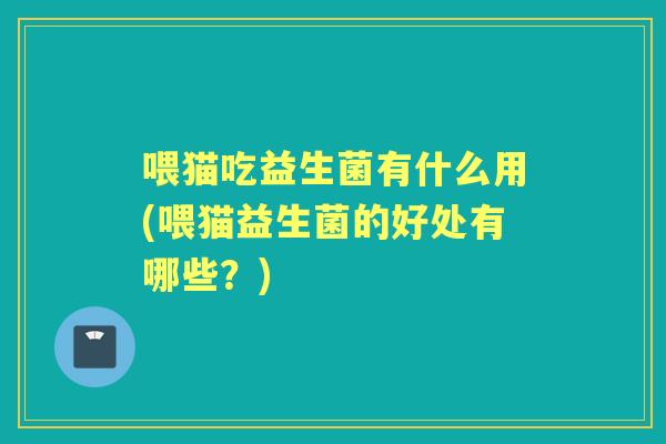 喂猫吃益生菌有什么用(喂猫益生菌的好处有哪些？)