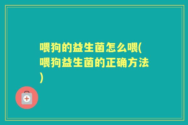 喂狗的益生菌怎么喂(喂狗益生菌的正确方法)
