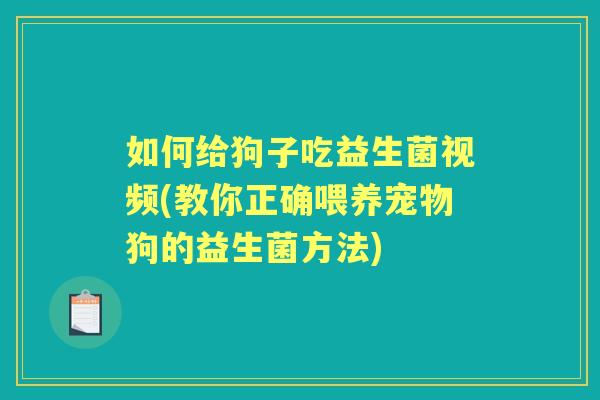 如何给狗子吃益生菌视频(教你正确喂养宠物狗的益生菌方法)
