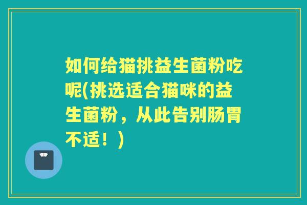 如何给猫挑益生菌粉吃呢(挑选适合猫咪的益生菌粉,从此告别肠胃不适!) 如何给猫挑益生菌粉吃呢(挑选适合猫咪的益生菌粉,从此告别肠胃不适!)