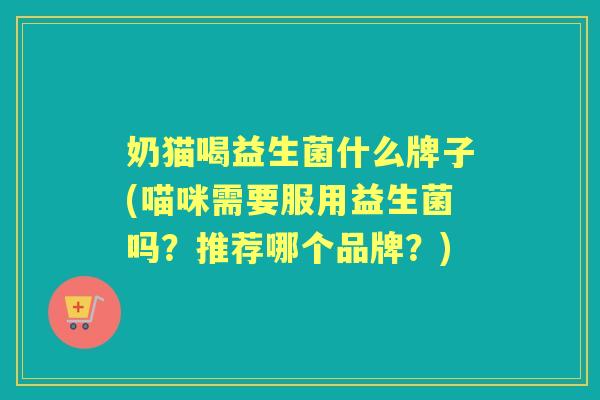 奶猫喝益生菌什么牌子(喵咪需要服用益生菌吗?推荐哪个品牌?) 奶猫喝益生菌什么牌子(喵咪需要服用益生菌吗?推荐哪个品牌?)