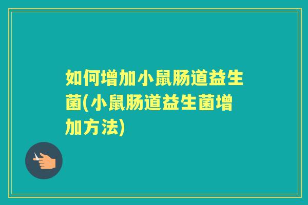 如何增加小鼠肠道益生菌(小鼠肠道益生菌增加方法)