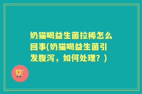 奶猫喝益生菌拉稀怎么回事(奶猫喝益生菌引发，如何处理？)