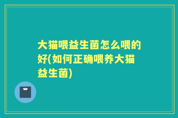 大猫喂益生菌怎么喂的好(如何正确喂养大猫益生菌)