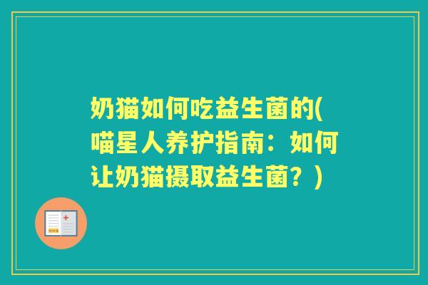 奶猫如何吃益生菌的(喵星人养护指南:如何让奶猫摄取益生菌?) 奶猫如何吃益生菌的(喵星人养护指南:如何让奶猫摄取益生菌?)