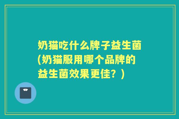奶猫吃什么牌子益生菌(奶猫服用哪个品牌的益生菌效果更佳?) 奶猫吃什么牌子益生菌(奶猫服用哪个品牌的益生菌效果更佳?)